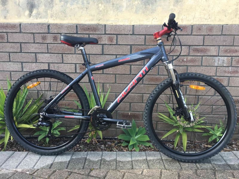 avanti atomic mountain bike