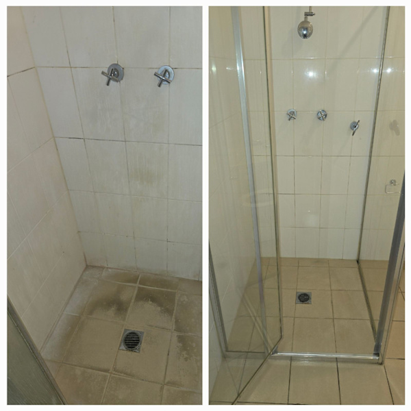 Professional Cleaners62863391511681111