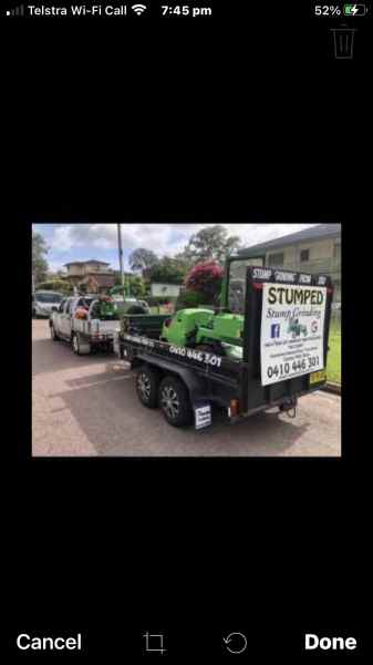STUMP GRINDING & TREE REMOVAL ALL AREAS FREE QUOTES FULLY INSURED 62863392254211111
