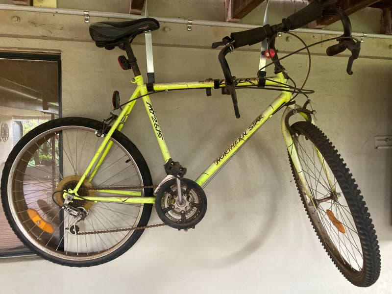 free adult bike