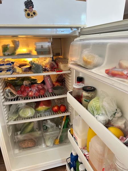Fridge - Working Condition 630156417941781125