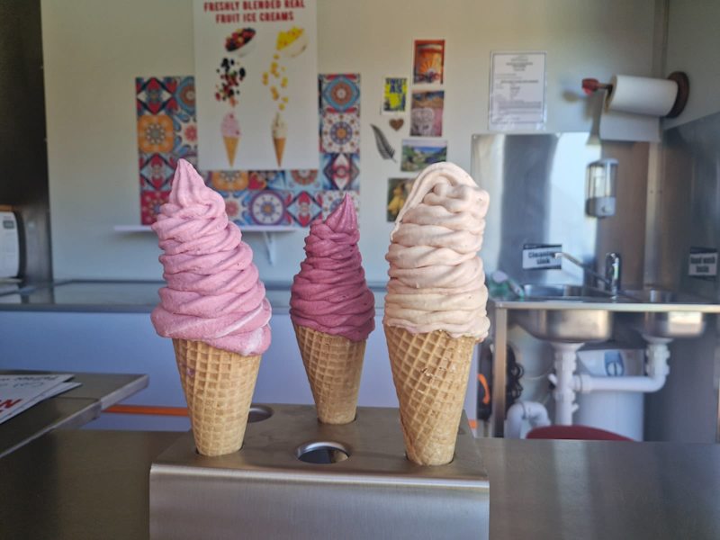 Real fruit icecream business63007361308035114