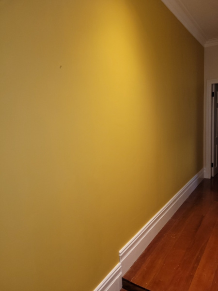 Painter and Decorator62863417065219113