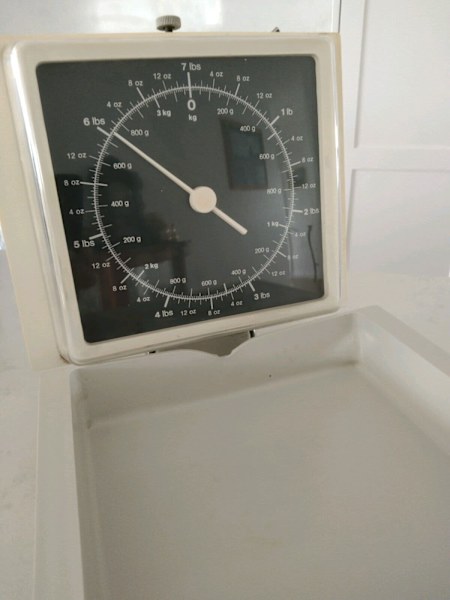 Kitchen Scales, wall mount style, fold down63470143468931110