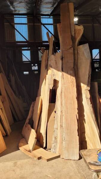 4500mm Mackay Cedar Slab- Undressed63005707718530111