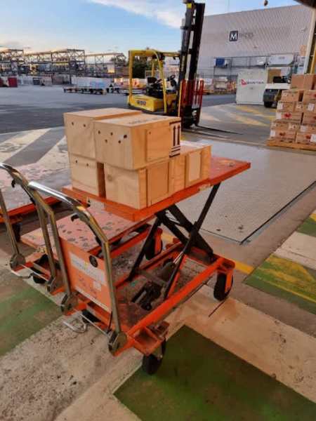 Animal Freight Australia62864726664322112