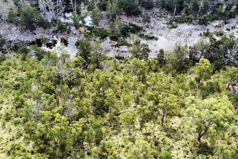 For Sale: Expansive 40-Acre Rural Property with Stunning Views in Big Hill, NSW62882775931649113