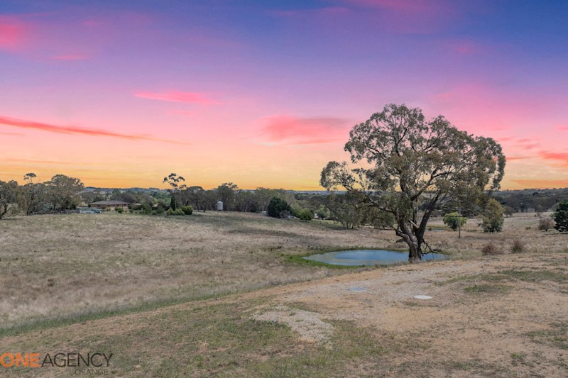 Lifestyle blocks with rural outlook62882774801538112