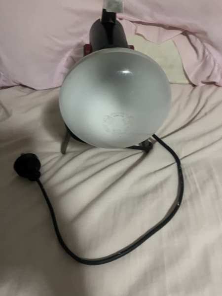 Ultra violet ray lamp63018175231875111