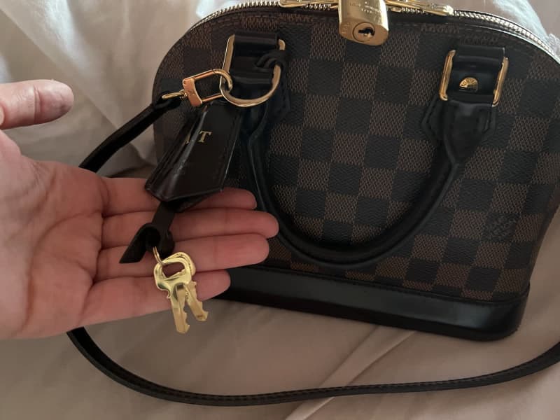 My 2 babies! Damier Ebene Neverfull MM & Monogram Vernis Alma BB. I'm  looking to add another bag to my collection. Any recommendations? How do we  feel about the Multi Pochette? 
