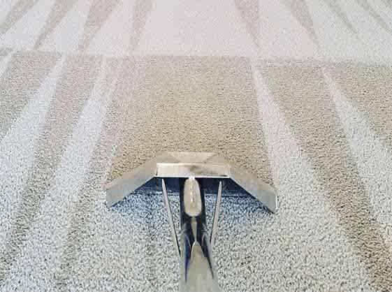 Expert Carpet Cleaning Wollongong62863843550210112