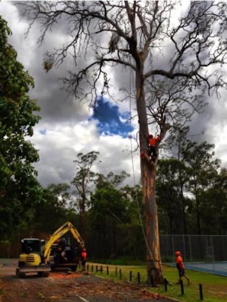 Handyman services rural property maintenance62863391981955112
