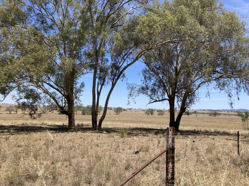 48.5 hectares rural land628853592875551121
