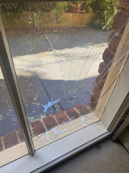 Nathaniel Glass & Pet Doors. 62864726393730111