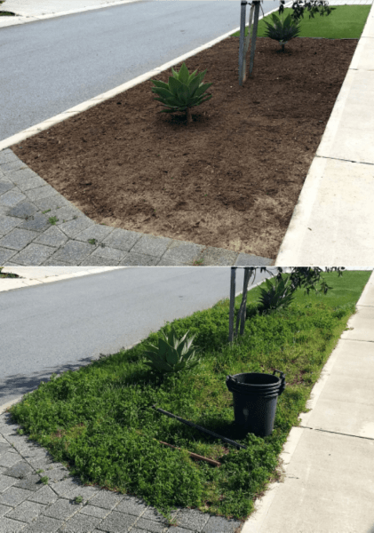 Gardening and Horticulture Service62863396595331111
