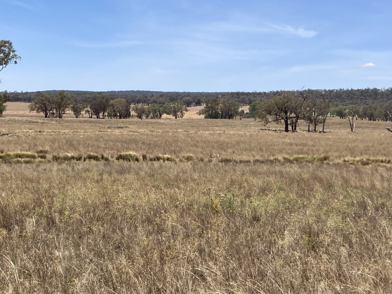 48.5 hectares rural land62885359287555112