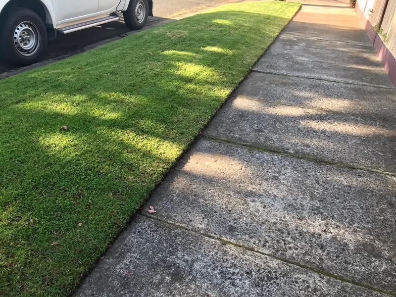 Lawn Mowing Service62863417969409114