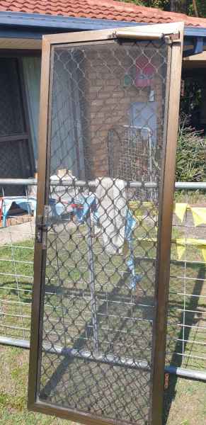 SCREEN DOOR 63439162642946113