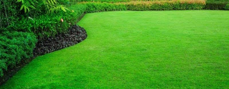 Illawarra First choice mowing62863843479426111