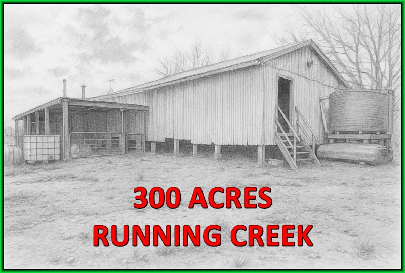 300 Acres ,Hunting and Lifestyle Land for sale629182839488021117