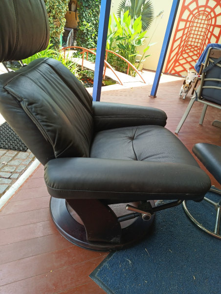 Recliner Chair plus footrest.62863377869058113