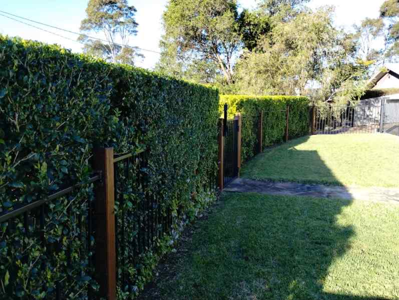 Lawn Care & Property maintenance62863392618627111