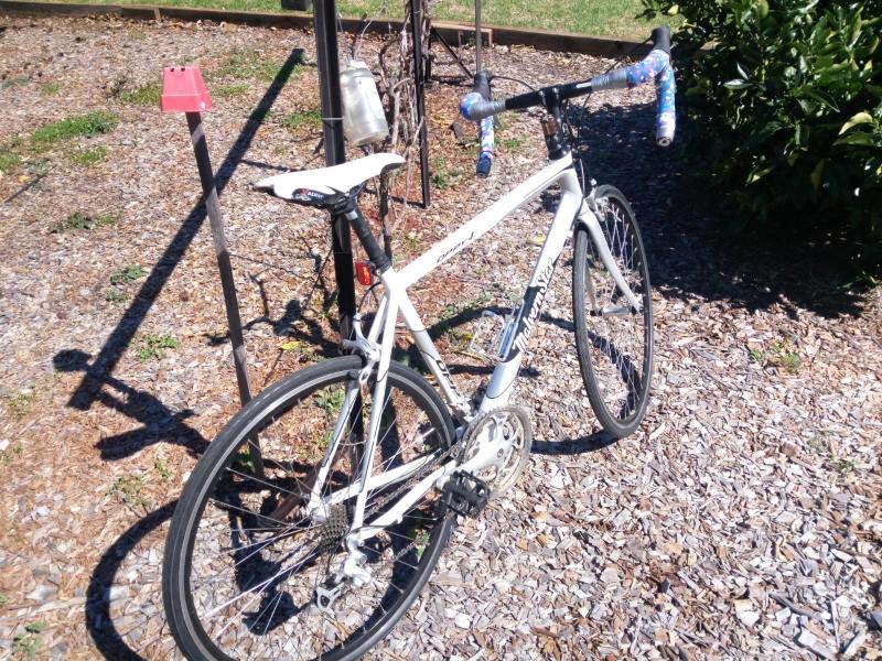 mens road bike gumtree