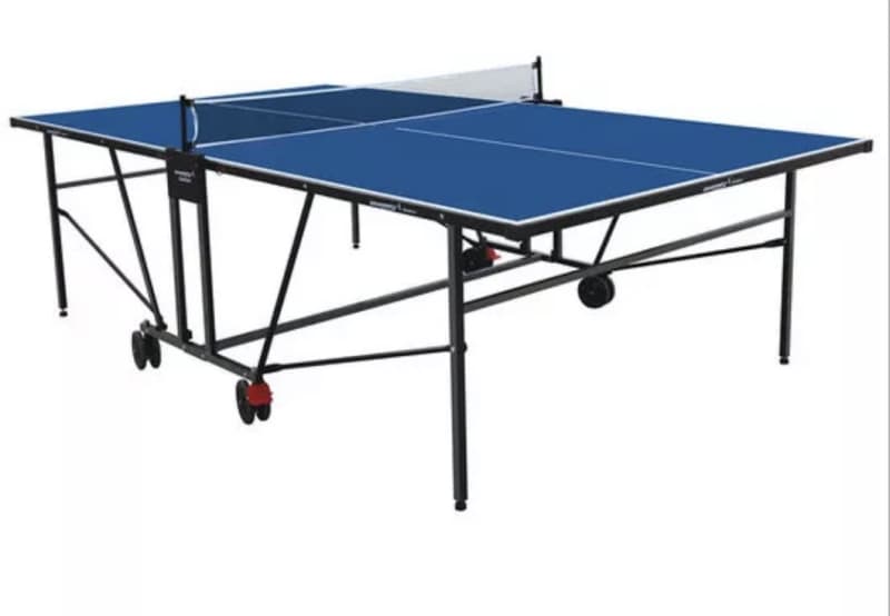 dragonfly outdoor table tennis table