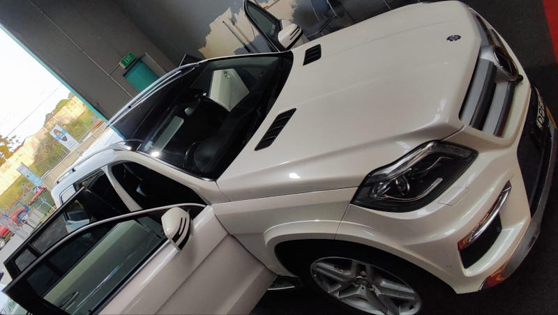 Mercedes Benz GL50062936663071490111