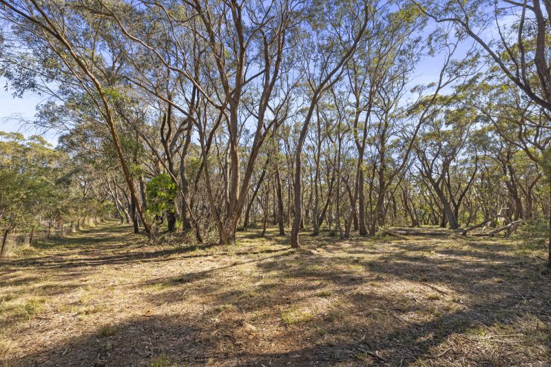 Rare large parcel of undeveloped land.62885362201346114