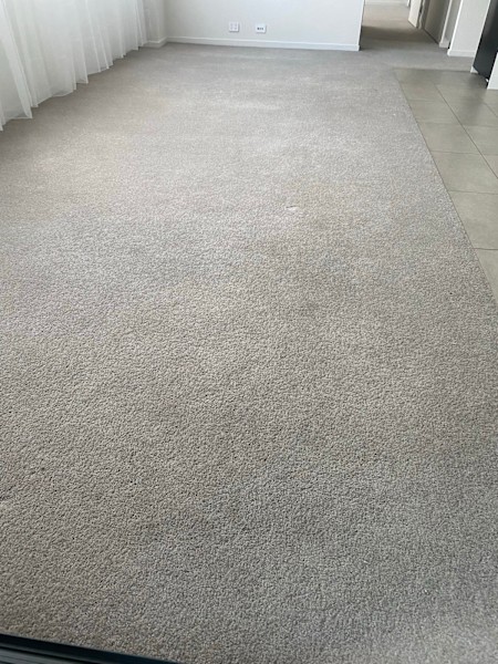 Carpet 25m2 $20063011174977155111