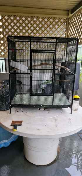 bird cage stand petbarn