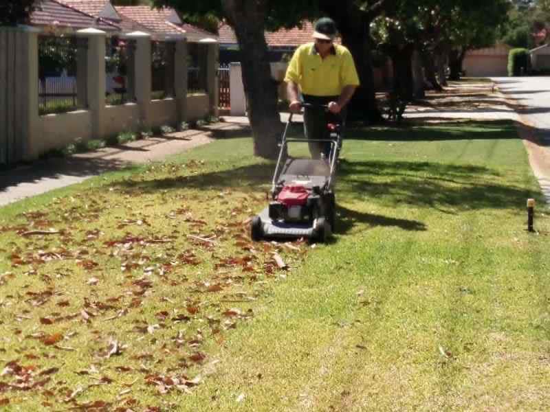 Lawn Mowing Services: Wembley - Mt Hawthorn - North Perth62864726589955113
