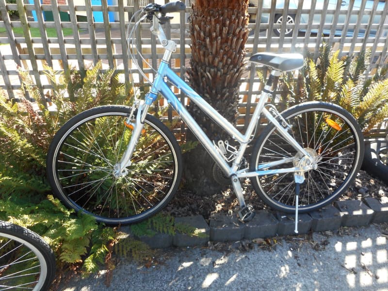 giant ladies cruiser bike