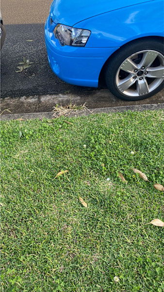 ** BE QUICK —REGRETFUL SALE **. $8,000 price not Negotiable 62937621740418112