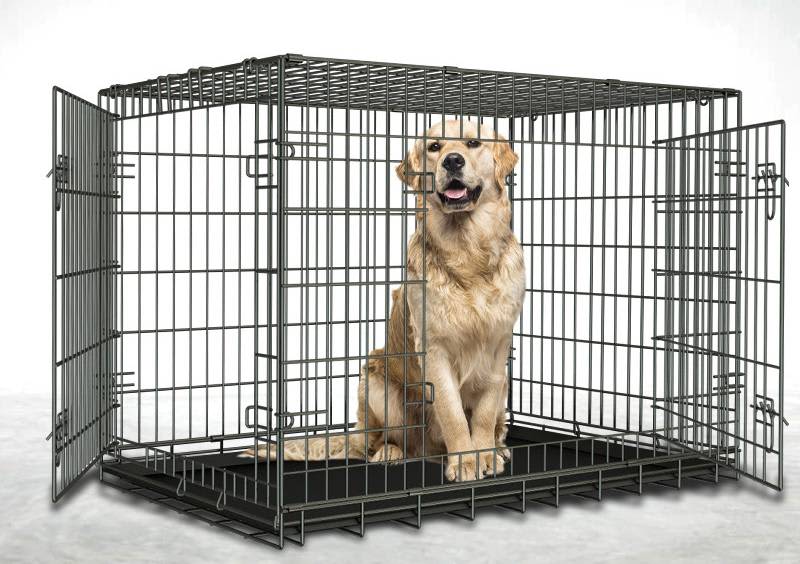 Xxl Folding Dog Crate