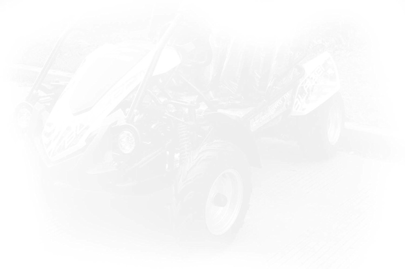 Crossfire Blazer 200r Buggy Assembled and ready for use *FREE DELIVERY62938583961603112