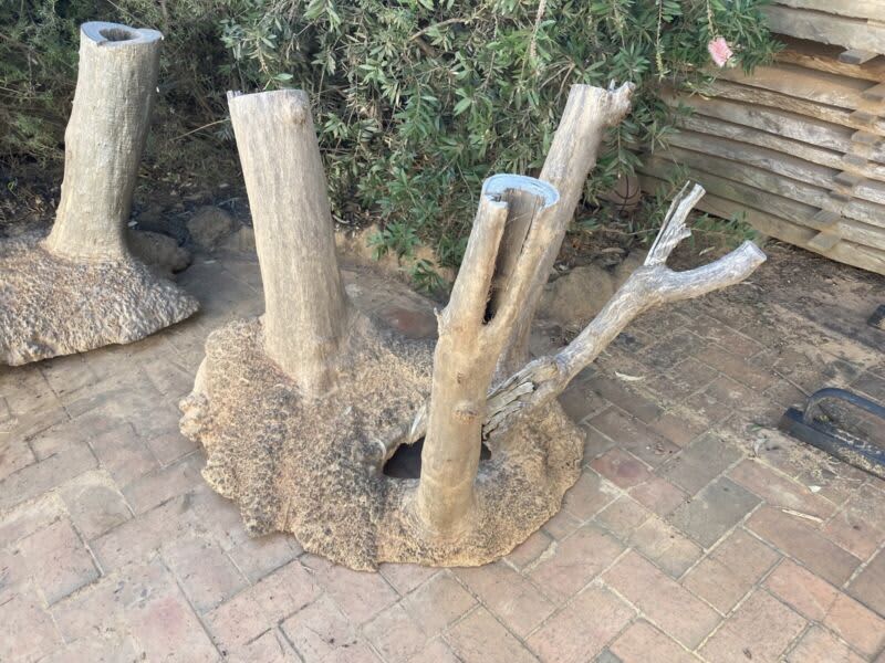 Mallee burl stumps for table bases - feature / decorations63008479839106113
