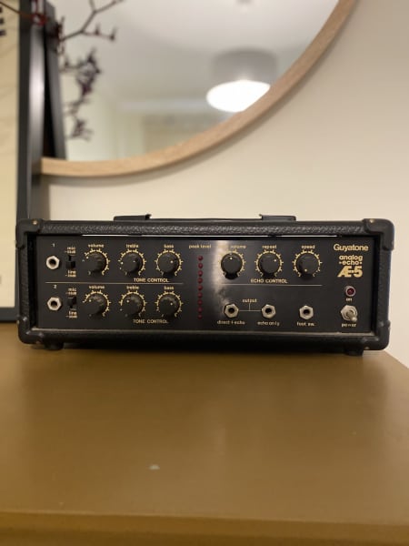 1970's Guyatone- Analog echo AE5 | Other Musical Instruments