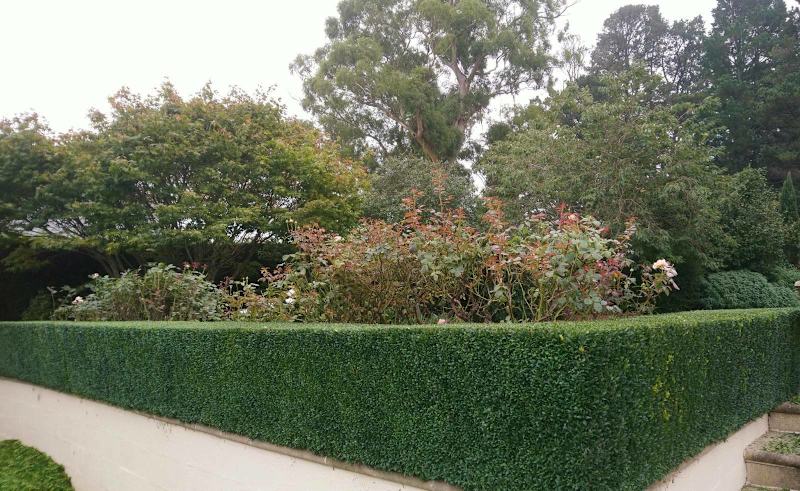 D&R Gardening and Property Management62863392197123113