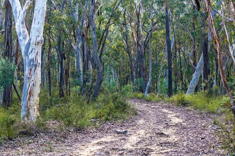 KANIMBLA VALLEY HIDEAWAY FOR THOSE SEEKING OFF-GRID SERENITY63438523509633114