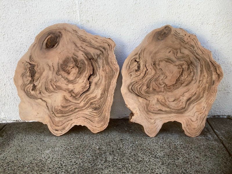 A couple more cabbage gum burl slabs  Amazing timber 👍 Well seasoned 63010590152962113