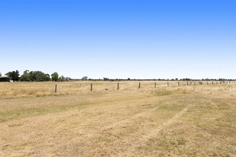 Lifestyle, Horses - 5acres63006483799810113