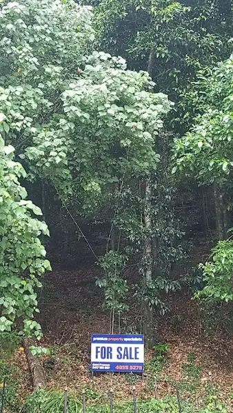 Elevated Rainforest Estate Land - End of Culdesac62887429080963111
