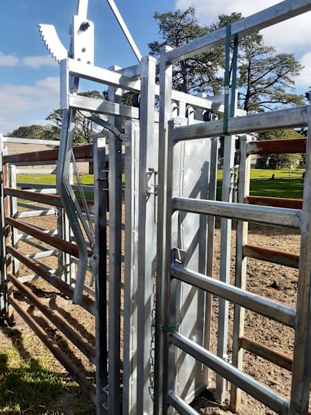 CATTLE HEAD BALES - sliding gates63012444813699111