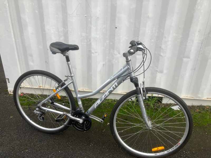 gumtree womens hybrid bike