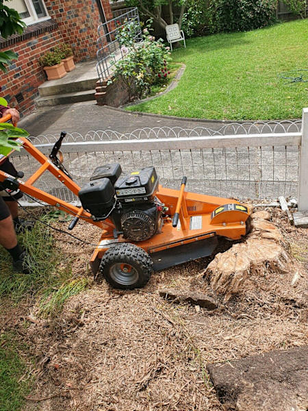 COOLAROO TREES AND RUBBISH REMOVAL62863418035969113
