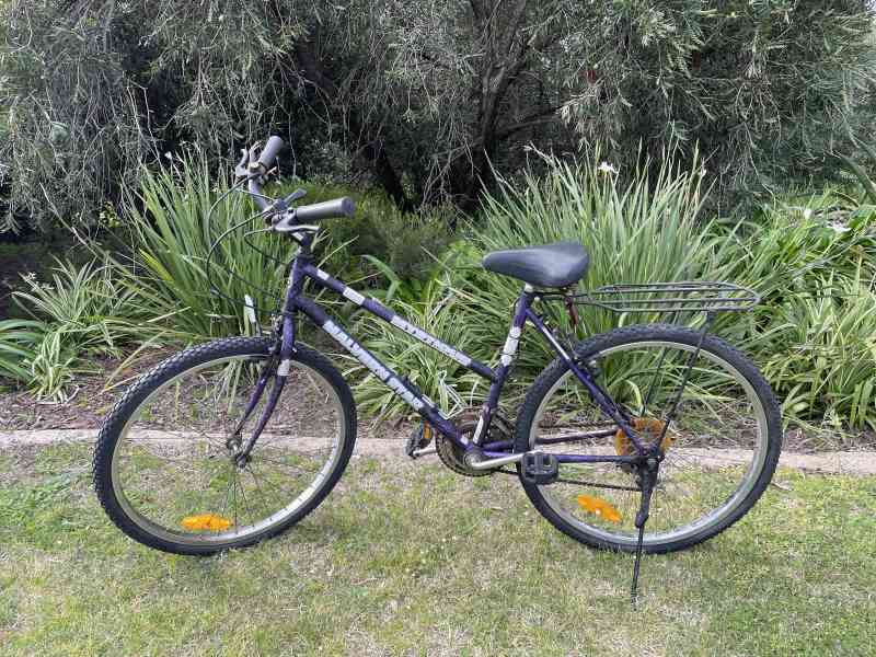 malvern star capri ladies bike