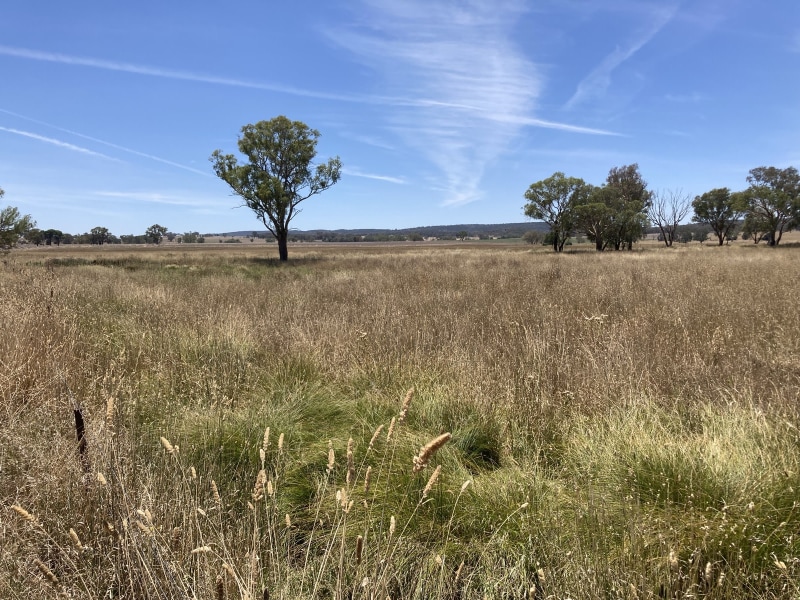48.5 hectares rural land62885359287555114