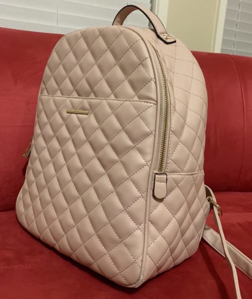 Auricelle hot sale backpack aldo